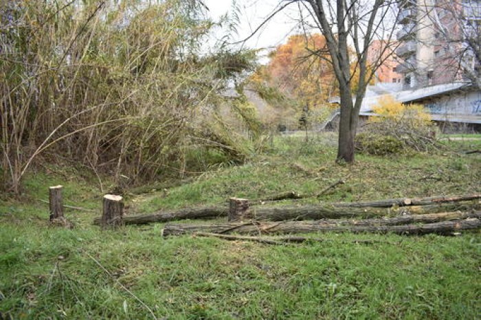 Imatge de la notícia