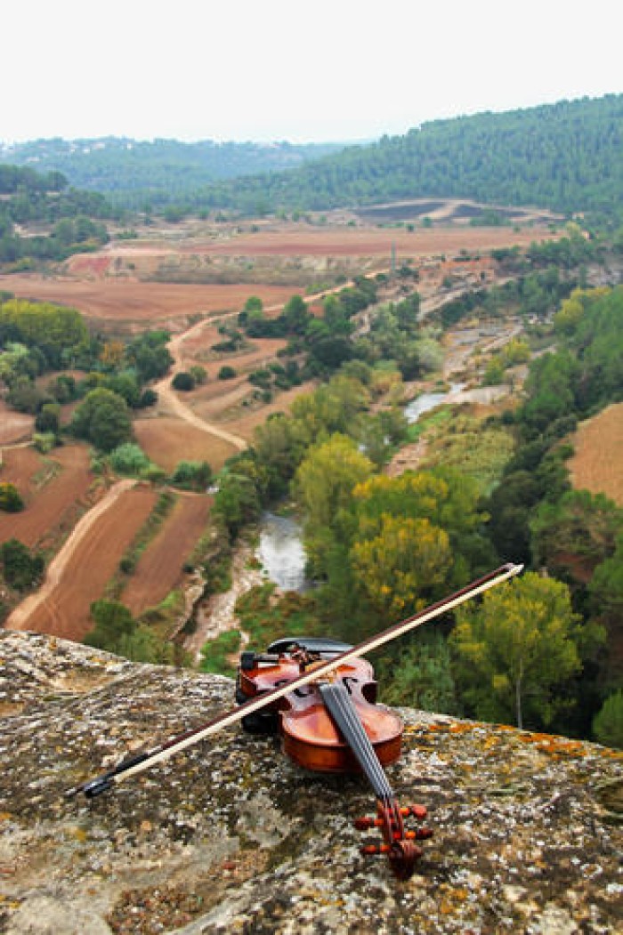 Imatge de la notícia