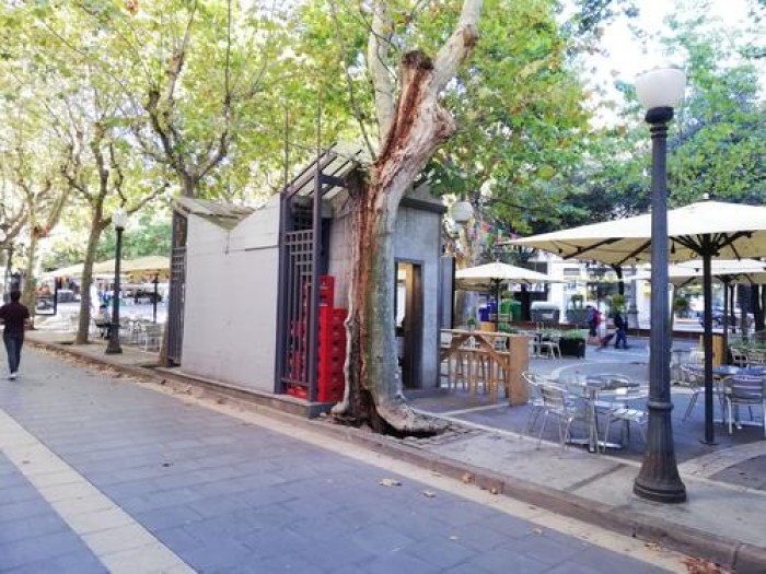 Imatge de la notícia