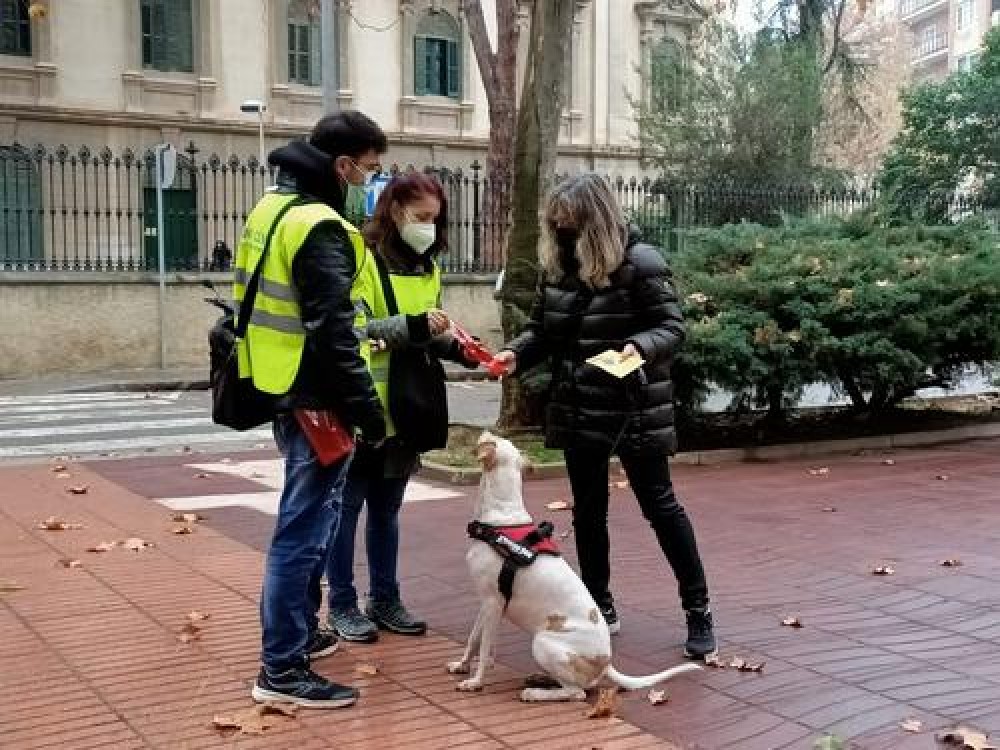 Els agents cívics desplegats per l'Ajuntament de Manresa atenen 1.125 persones en els seus primers dos mesos