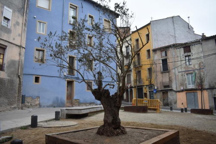 Imatge de la notícia