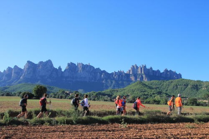 Imatge de la notícia