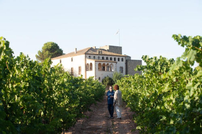 Imatge de la notícia