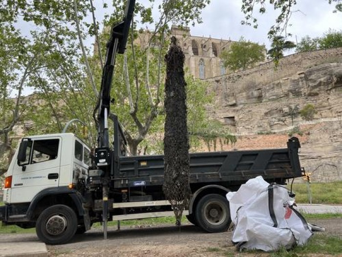 Imatge de la notícia