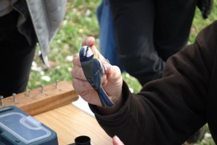 Imatge de la notícia