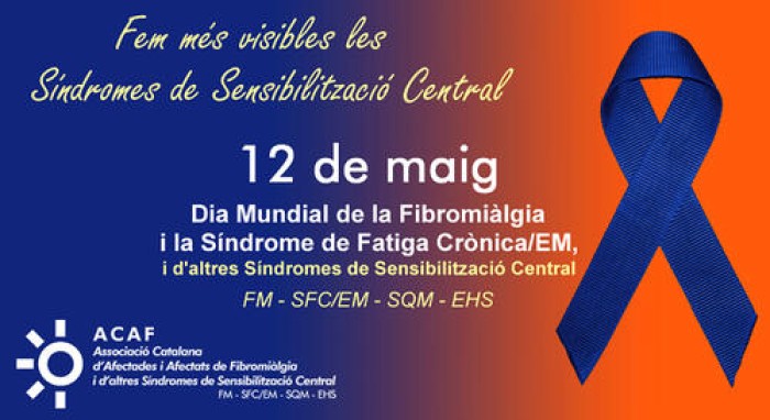 Imatge de la notícia