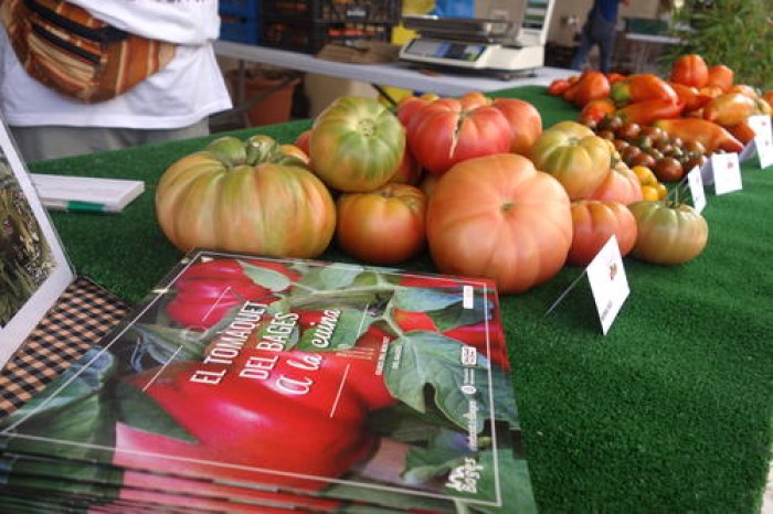 Imatge de la notícia