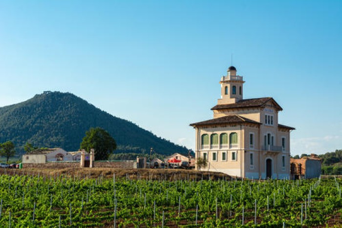 Imatge de la notícia