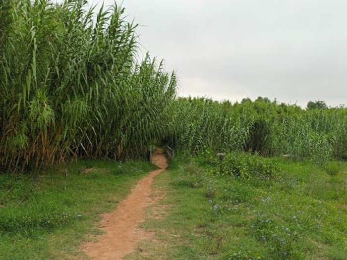 Imatge de la notícia