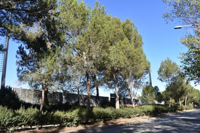 Imatge de la notícia