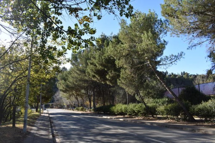 Imatge de la notícia