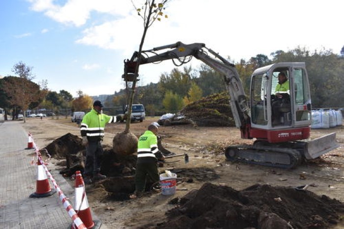 Imatge de la notícia