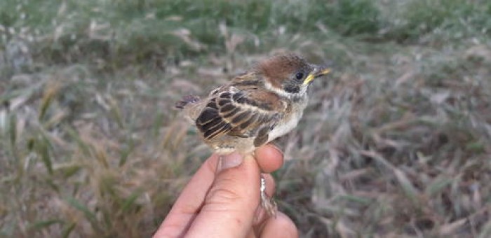 Imatge de la notícia