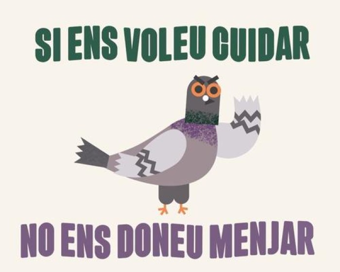 Imatge de la notícia