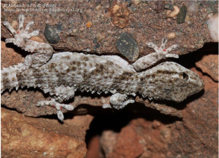 Imatge de la notícia