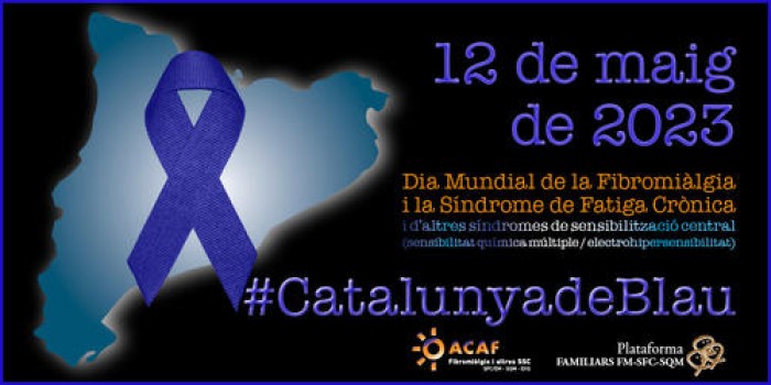 Imatge de la notícia