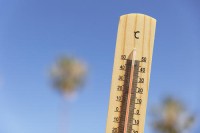 L'Ajuntament de Manresa demana prudència a la ciutadania davant l'onada de calor intensa