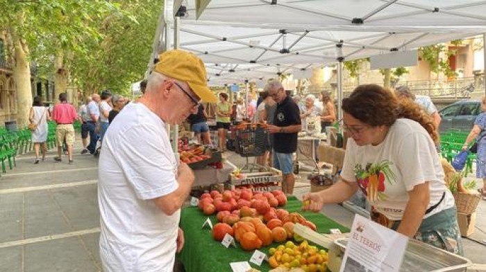 Imatge de la notícia