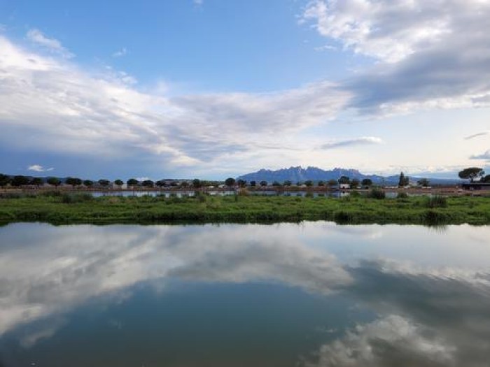 Imatge de la notícia