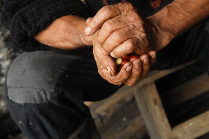 Imatge de la notícia