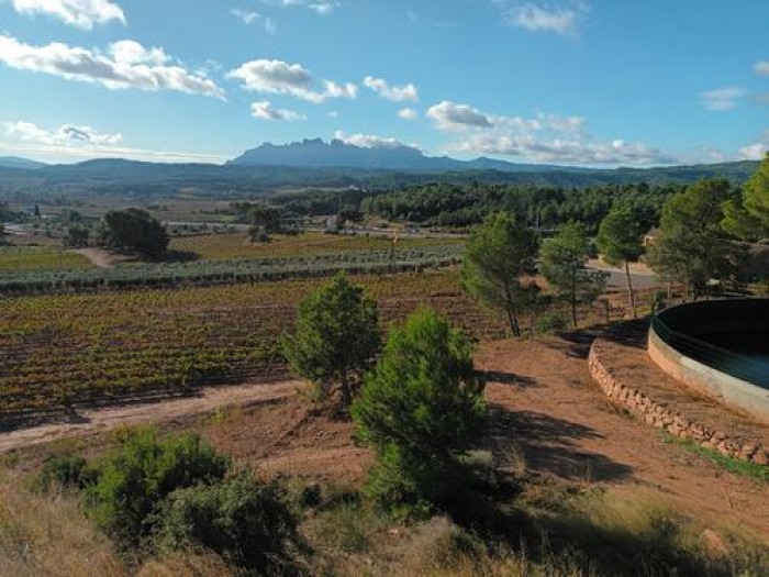 Imatge de la notícia