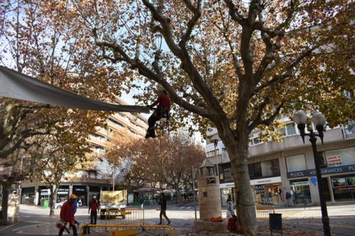 Imatge de la notícia