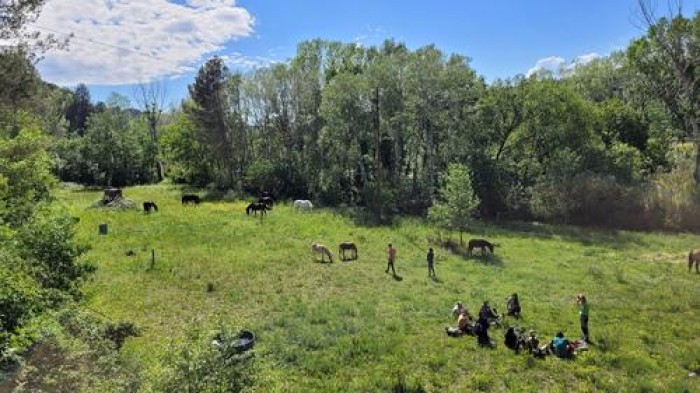 Imatge de la notícia