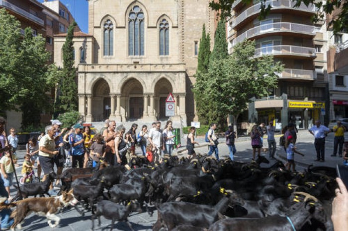 Imatge de la notícia