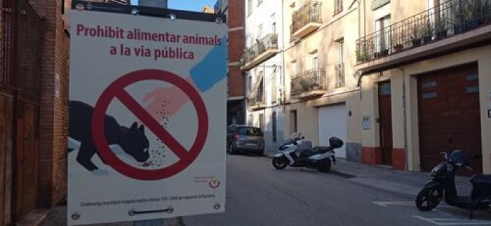 Imatge de la notícia