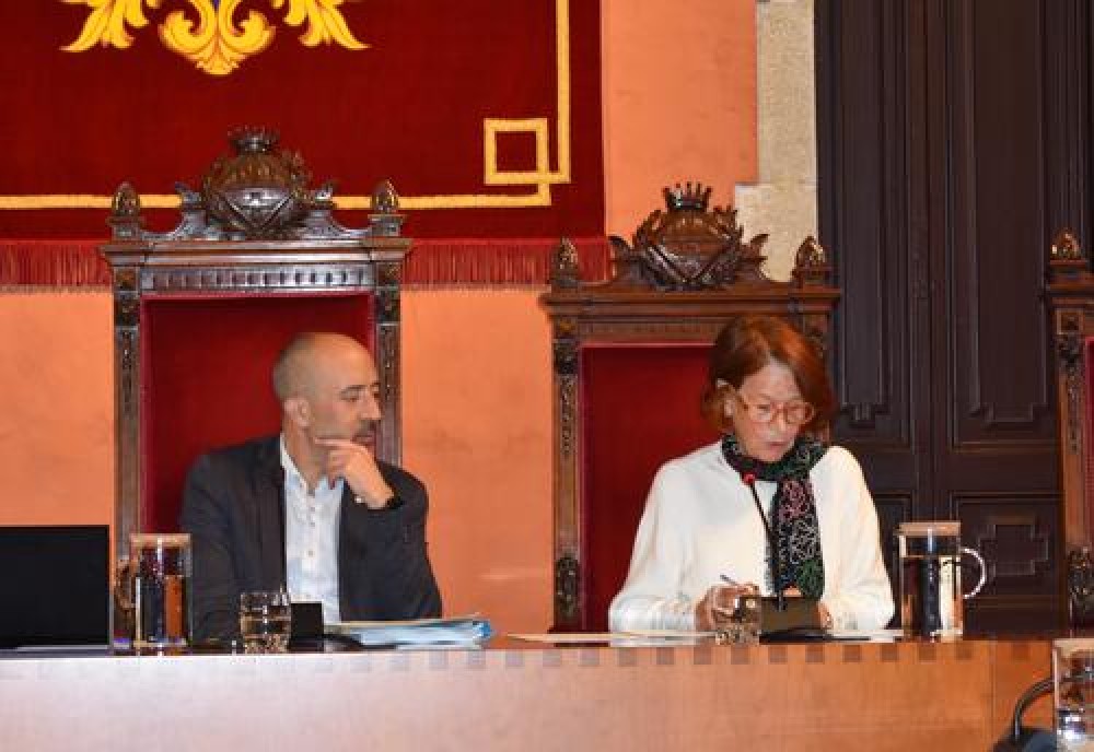La Síndica de Greuges de Catalunya intervindrà en el Ple municipal del 18 de desembre