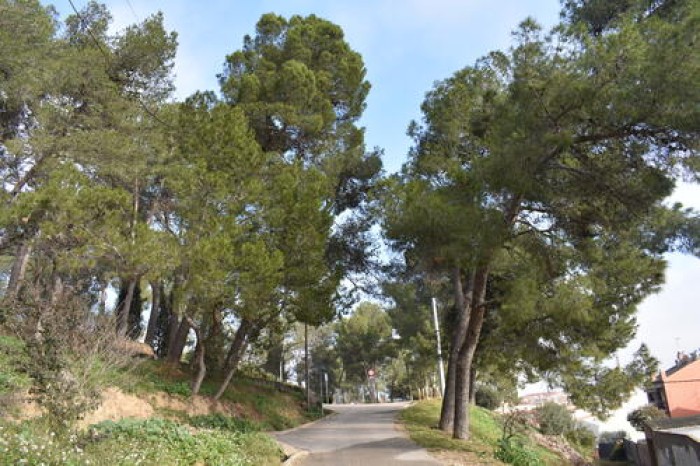 Imatge de la notícia