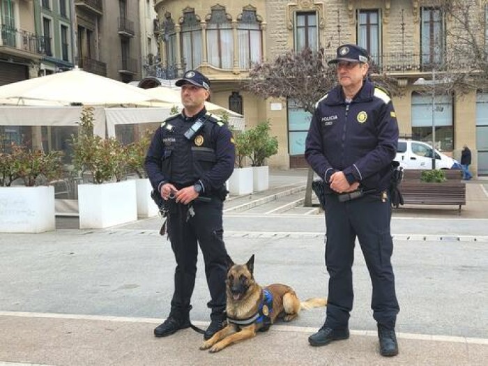 Imatge de la notícia