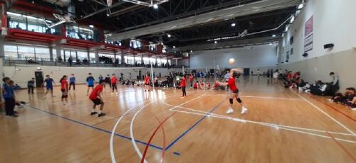 Imatge de la notícia