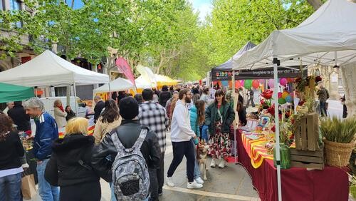 Manresa es prepara per un Sant Jordi 2026 de rècord: cultura, flors i talent local al cor de la ciutat