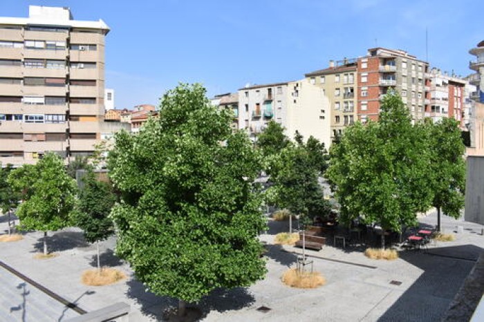 Imatge de la notícia