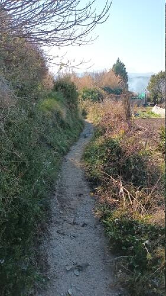 Imatge de la notícia