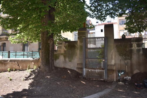 L'Ajuntament inicia els treballs per modificar el mur de Casino afectat per les arrels d'un om protegit 