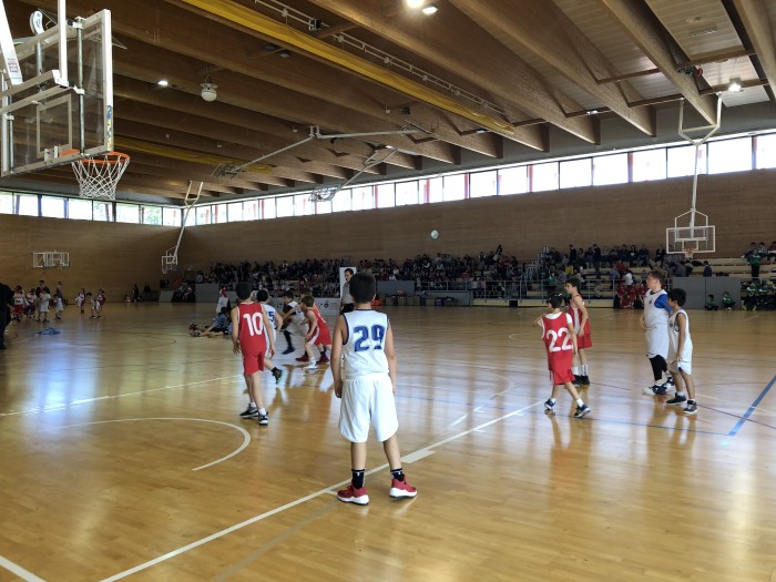 Imatge de la notícia