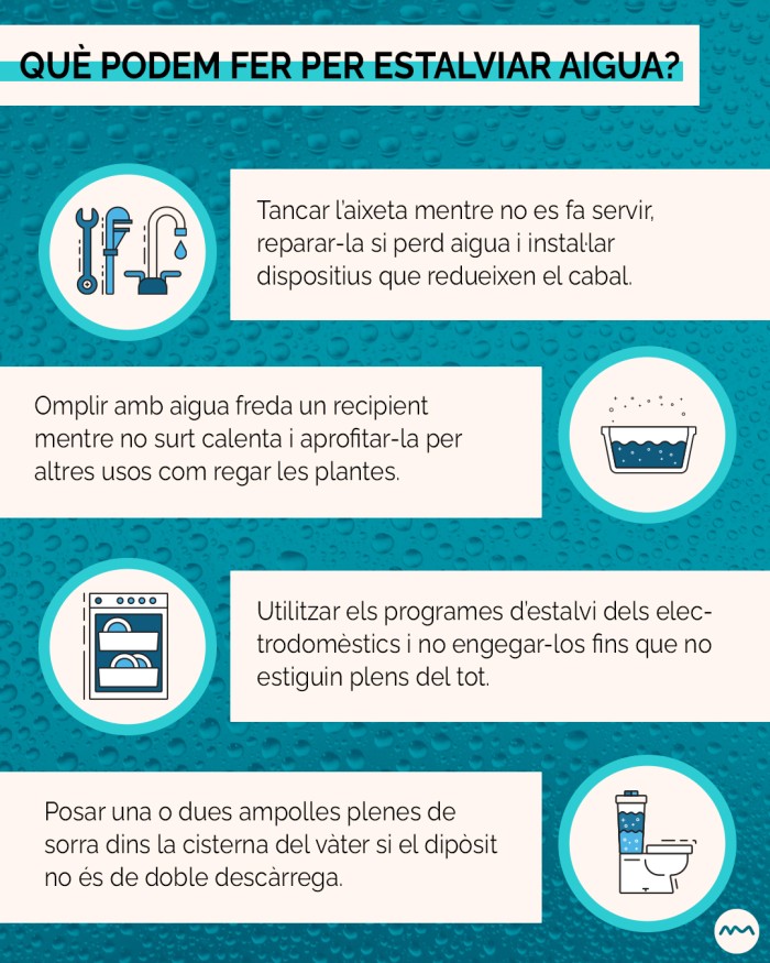 Imatge de la notícia