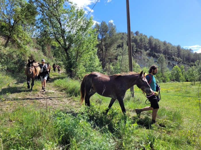 Imatge de la notícia