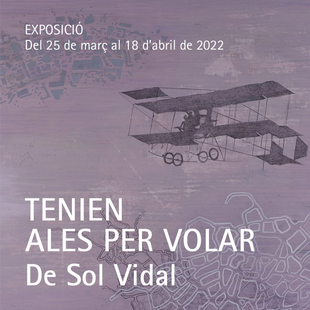 Avui s'inaugura l'exposició  Tenien ales per volar, de l'artista Sol Vidal