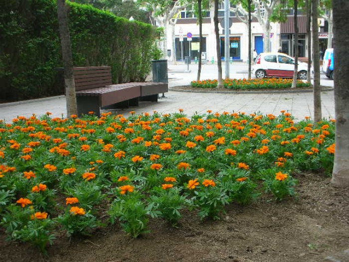 Imatge de la notícia