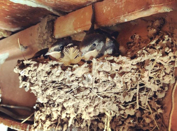 Imatge de la notícia