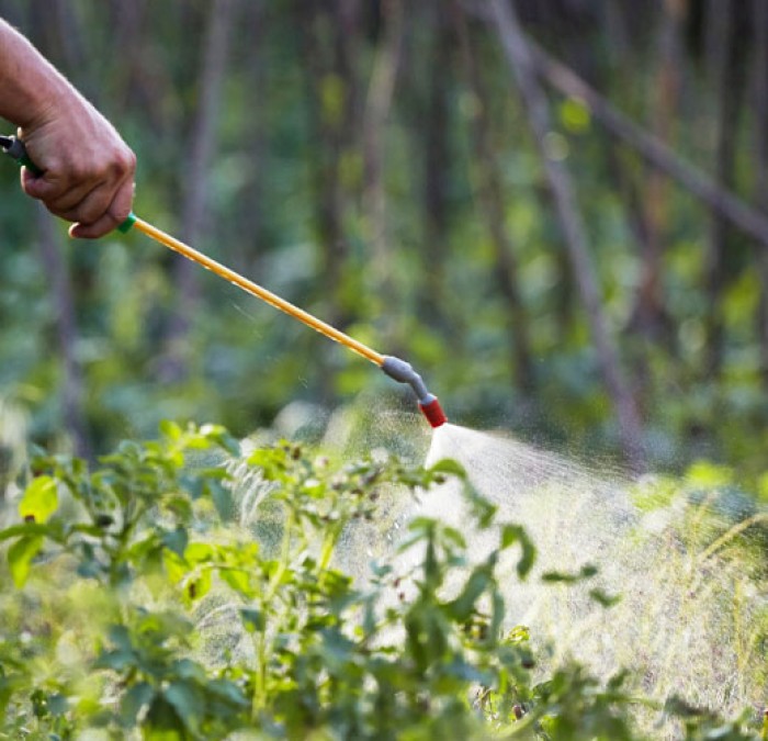 Imatge de la notícia