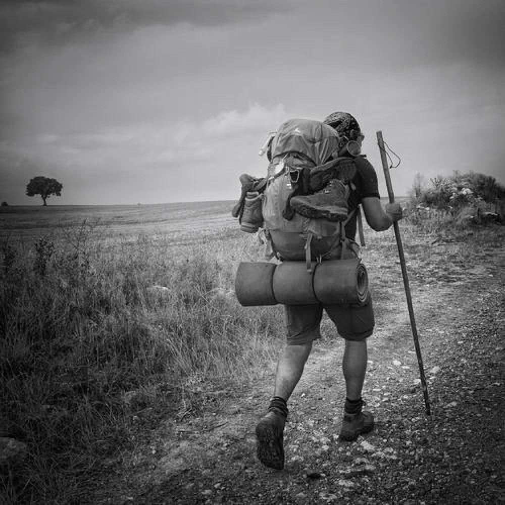 Avui comença el termini per presentar les fotografies per a la nova edició del concurs  