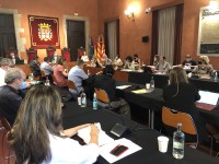 Crònica del ple: L'Ajuntament es proveeix d'un protocol per abordar les violències masclistes a les festes populars i als espais públics d'oci nocturn