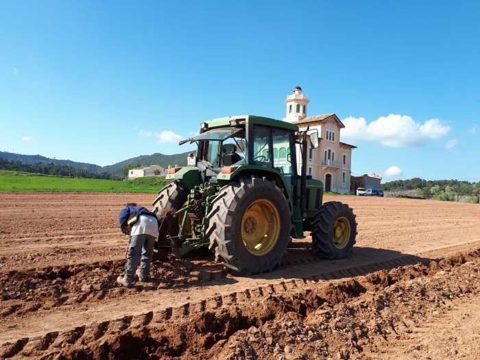 Imatge de la notícia