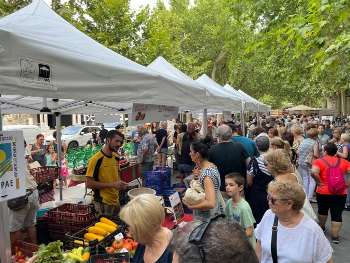 Imatge de la notícia