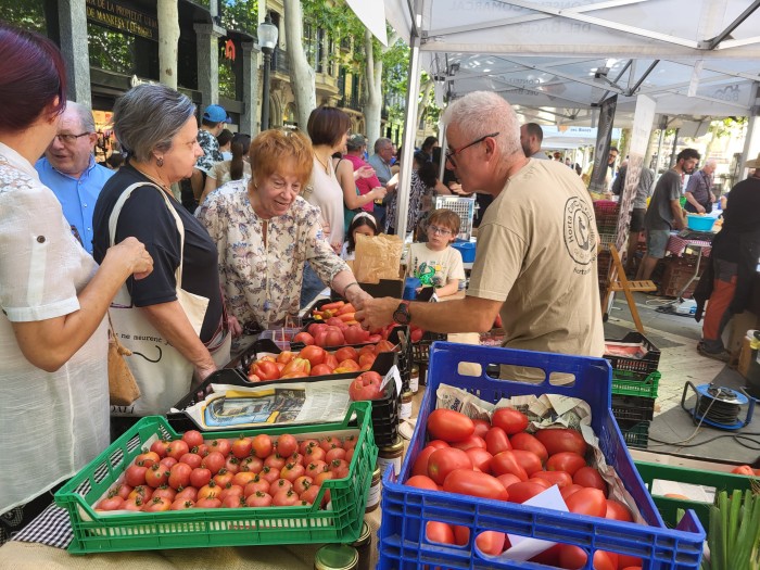 Imatge de la notícia