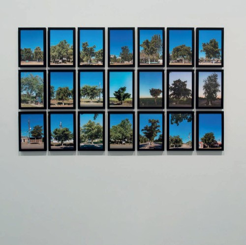 EXPOSICIÓ 'I, de sobte, l’atzar'